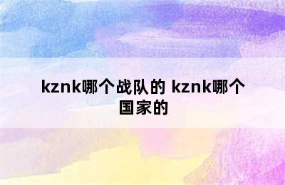 kznk哪个战队的 kznk哪个国家的